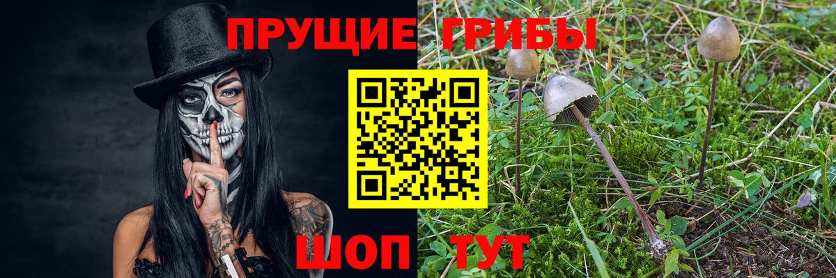 Тобольск  Псилоцибиновые грибы прущие грибы  Вход с VPN 